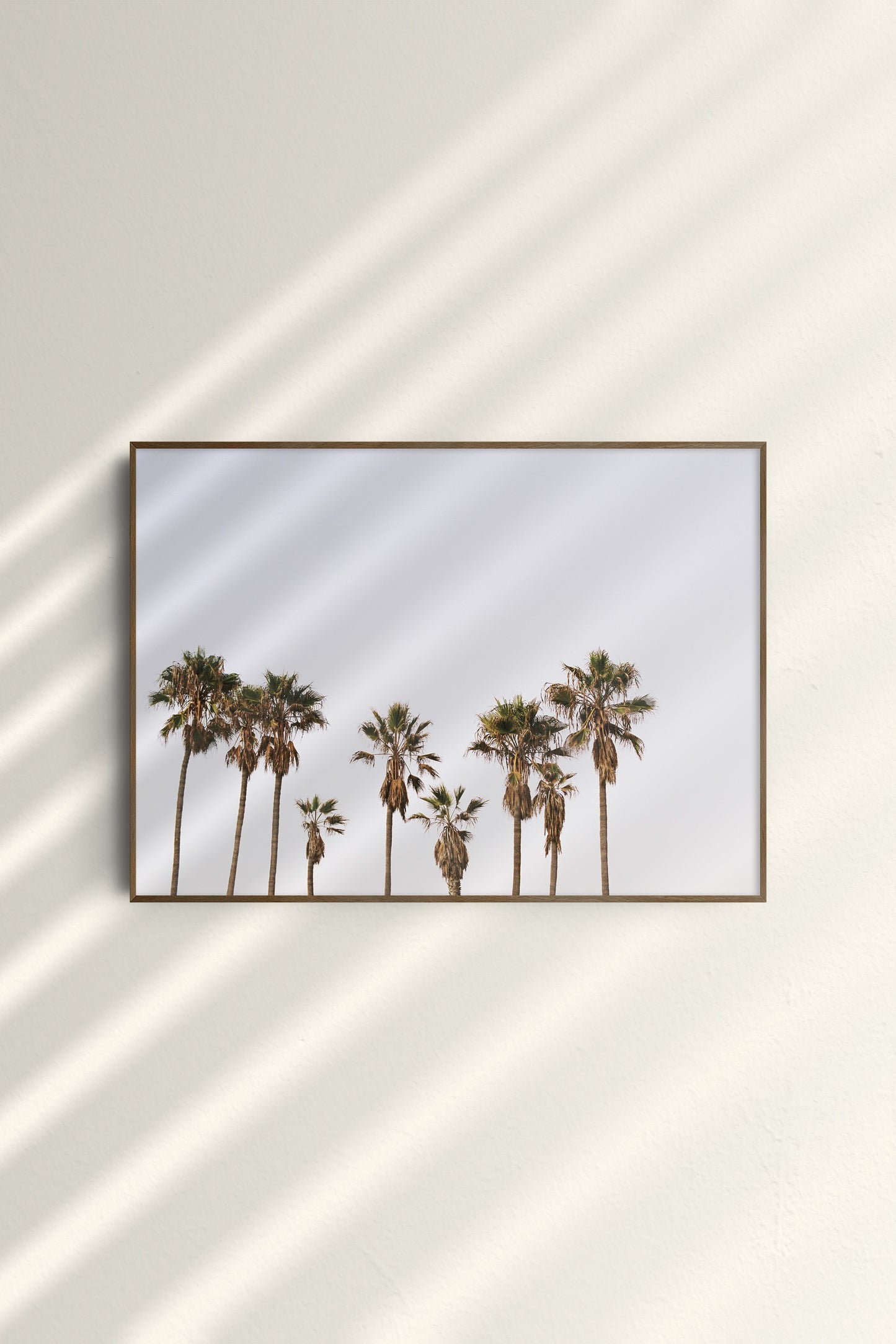 The Summerly Cali Palms