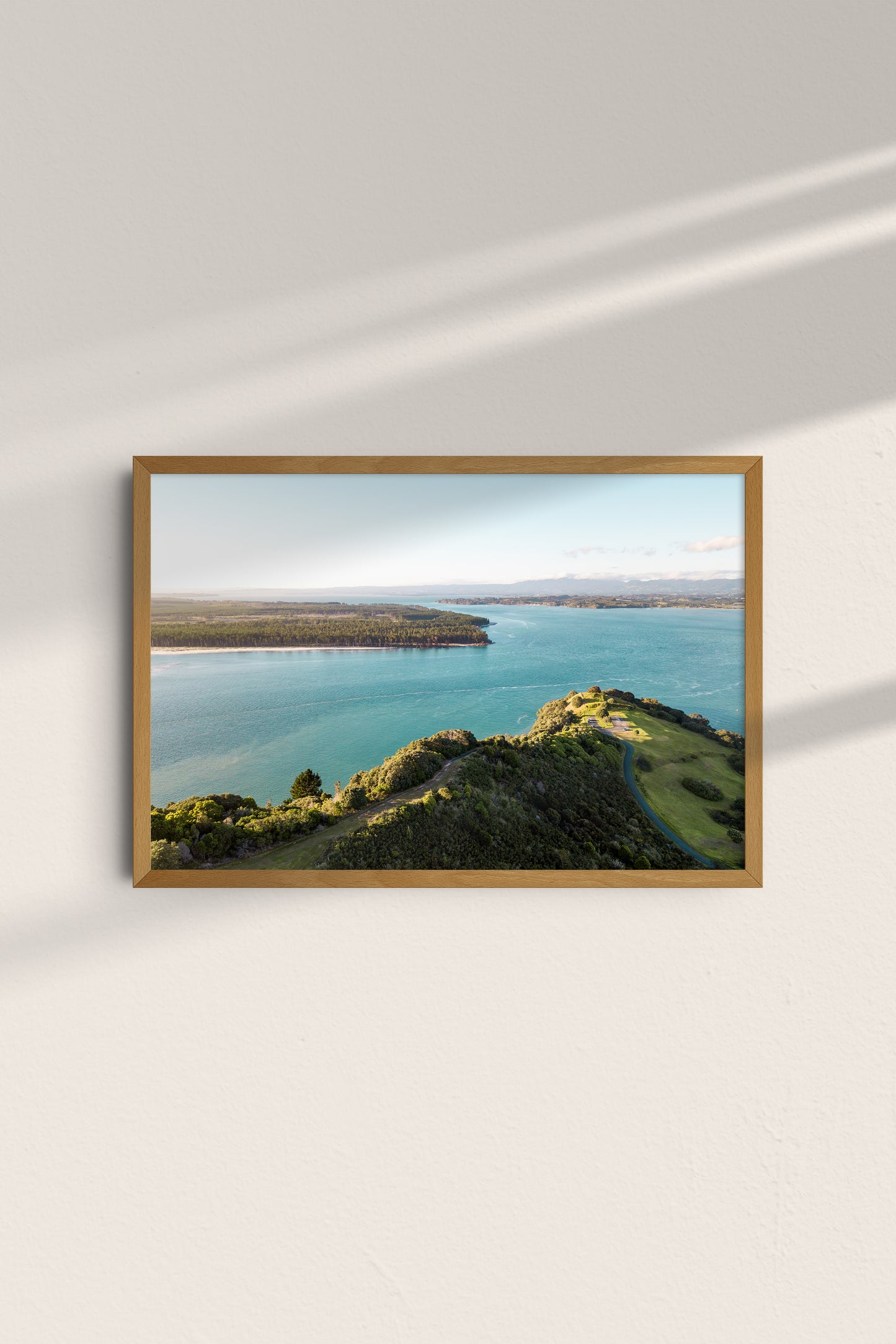 Hannah Eagle Matakana Island