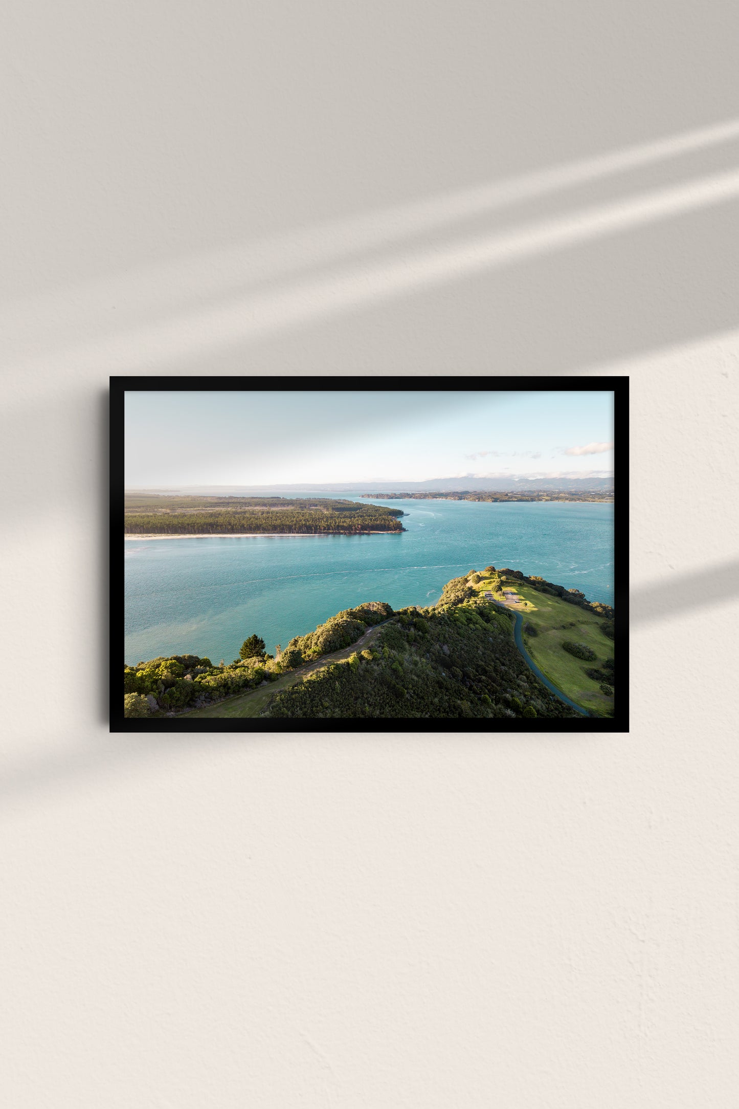 Hannah Eagle Matakana Island
