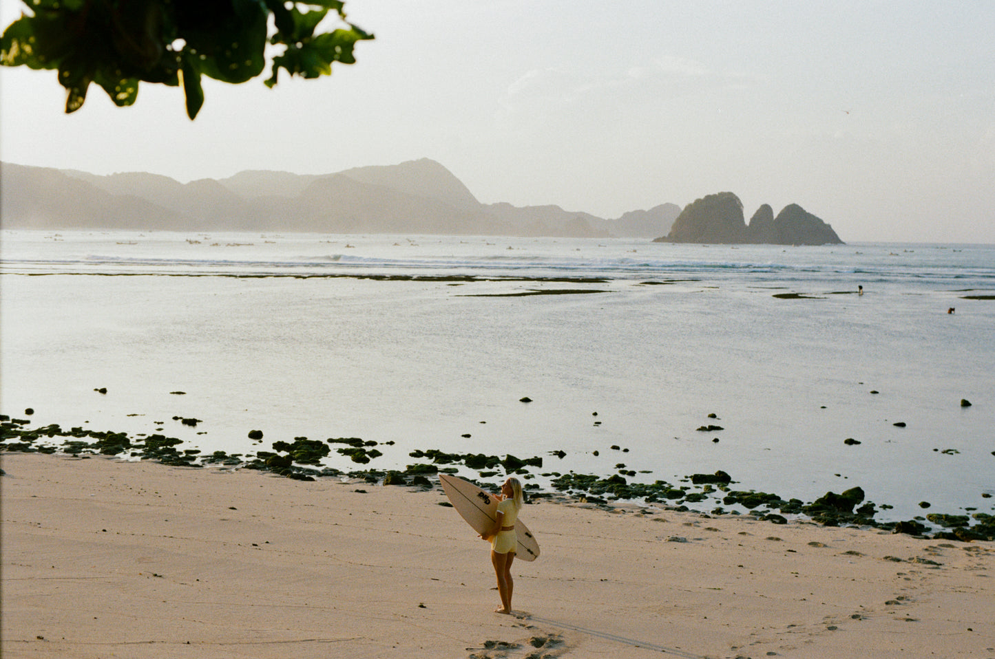 The Unscripted Surf Set Lemon