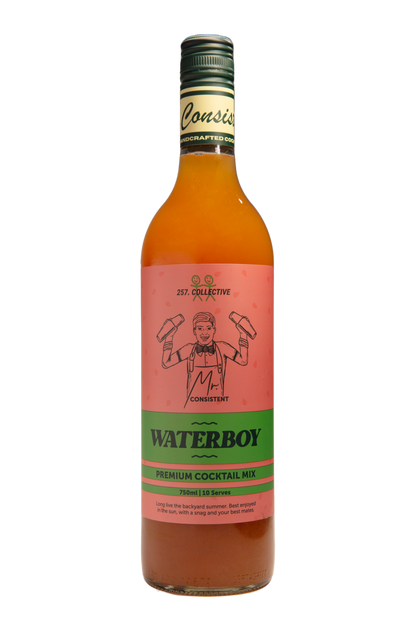 Mr. Consistent Waterboy Watermelon Margi Cocktail Mixer - 10 Serves